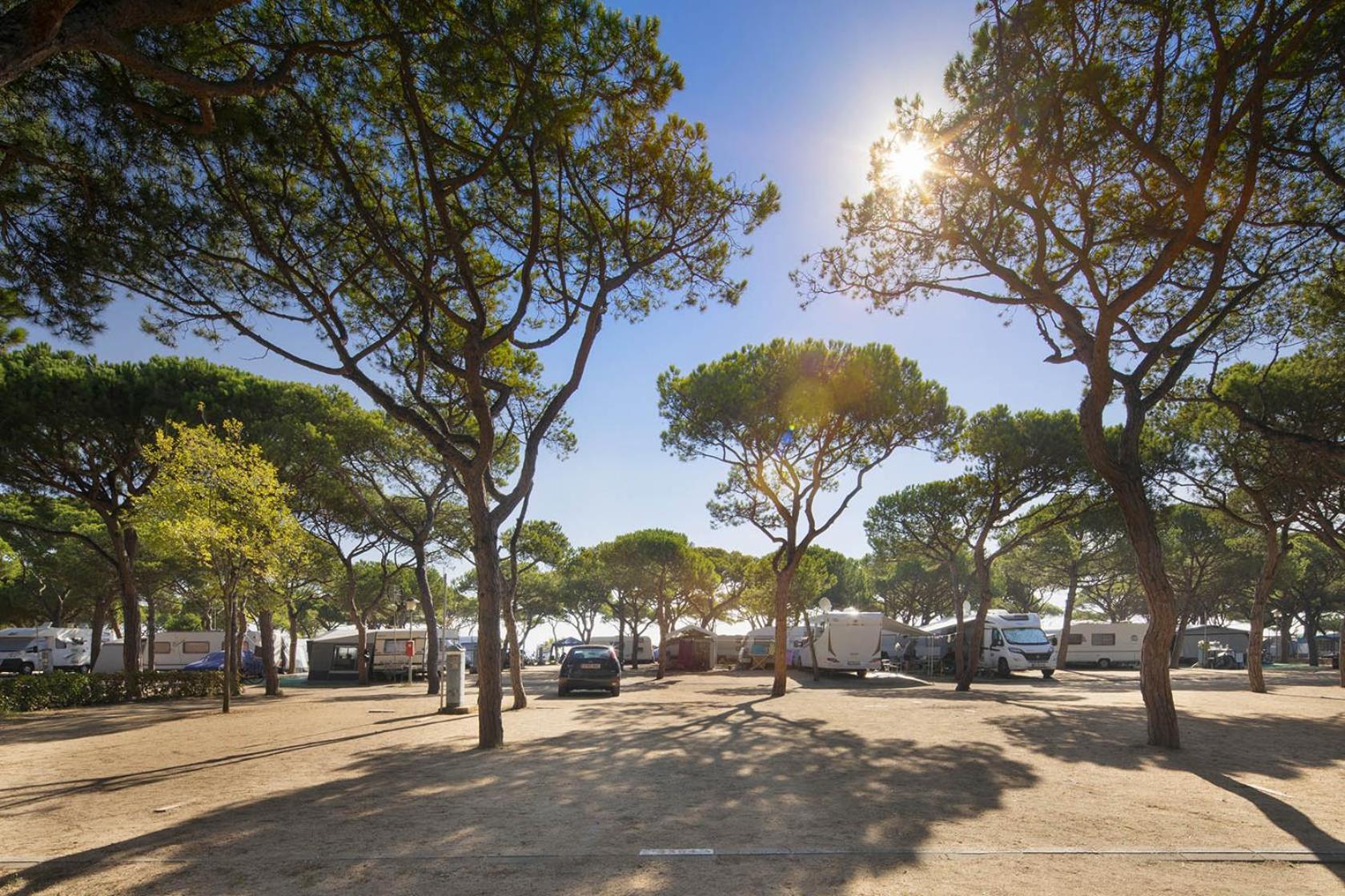 Camping Bella Terra Blanes Exterior foto